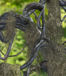 Traveler's Naturals - Spanish Moss Vol 1 Traveler's Naturals - Spanish Moss Vol 1 by: TravelerRuntimeDNA, 3D Models by Daz 3D