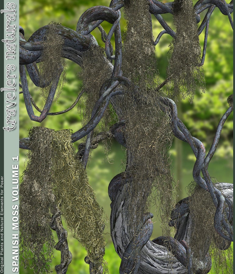 Traveler's Naturals - Spanish Moss Vol 1 by: TravelerRuntimeDNA, 3D Models by Daz 3D