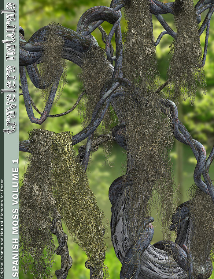 Traveler's Naturals - Spanish Moss Vol 1 by: TravelerRuntimeDNA, 3D Models by Daz 3D