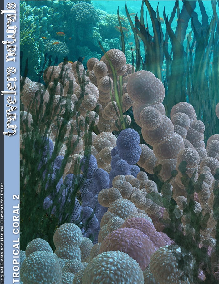 Traveler's Naturals - Tropical Coral Vol 2 by: RuntimeDNATraveler, 3D Models by Daz 3D