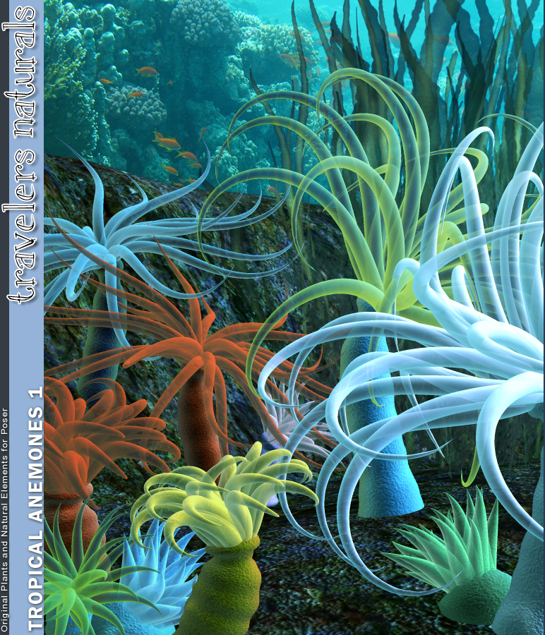 Traveler's Naturals - Tropical Anemones Vol 1 by: RuntimeDNATraveler, 3D Models by Daz 3D
