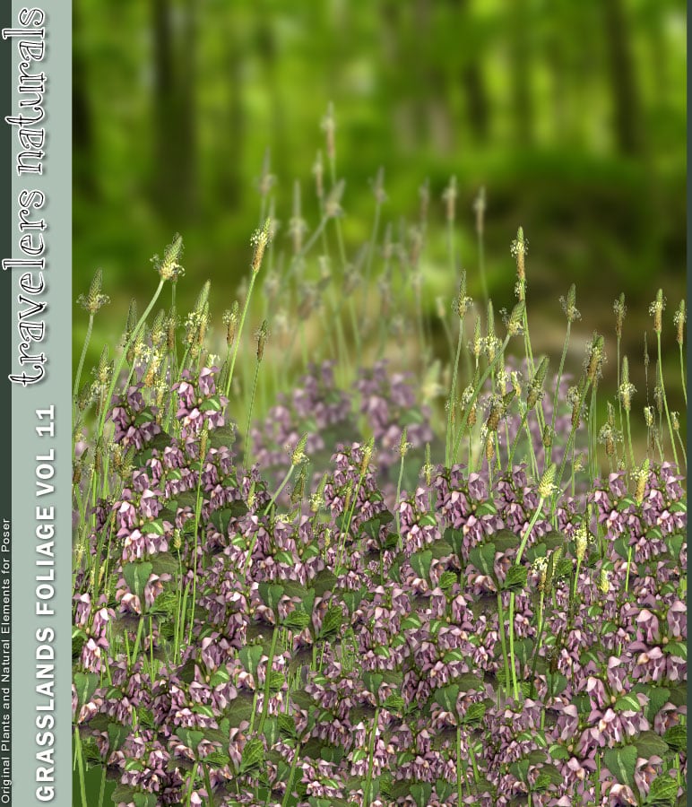 Grasslands Foliage Vol 11 Grasslands Foliage Vol 11 by: RuntimeDNATraveler, 3D Models by Daz 3D