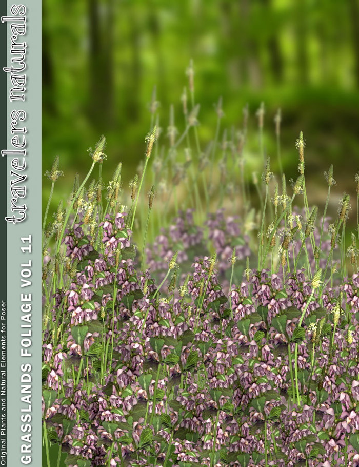 Grasslands Foliage Vol 11 by: RuntimeDNATraveler, 3D Models by Daz 3D