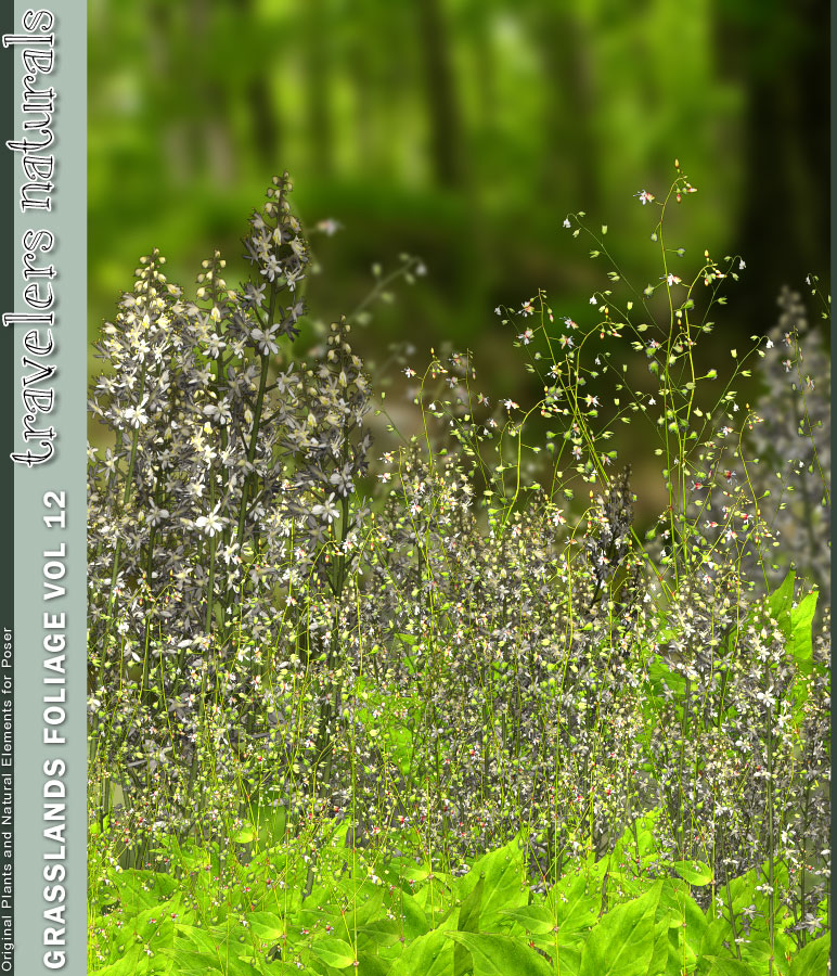 Grasslands Foliage Vol 12 by: RuntimeDNATraveler, 3D Models by Daz 3D
