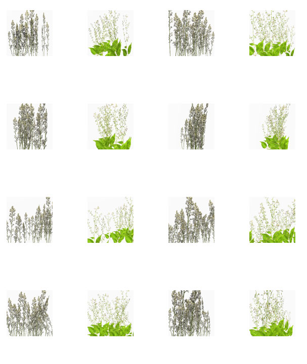 Grasslands Foliage Vol 12 by: RuntimeDNATraveler, 3D Models by Daz 3D