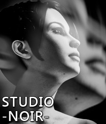 IDL Studio Expansion 3 - STUDIO NOIR IDL Studio Expansion 3 - STUDIO NOIR by: Colm JacksonRuntimeDNA, 3D Models by Daz 3D