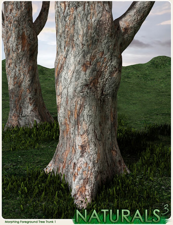 Naturals3 - Morphing Tree Trunk 1 by: RuntimeDNATraveler, 3D Models by Daz 3D