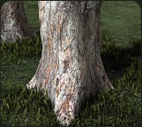 Naturals3 - Morphing Tree Trunk 1 by: RuntimeDNATraveler, 3D Models by Daz 3D
