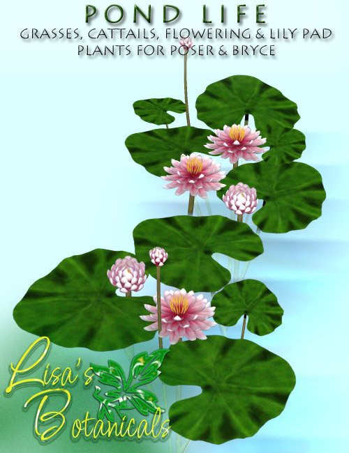 Lisa's Botanicals - Pond Life Plants