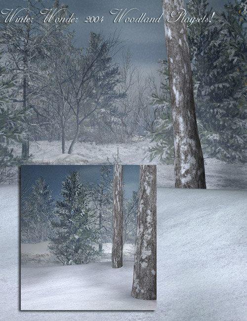 Winter Wonder 2004 Winter Wonder 2004 by: LaurieS, 3D Models by Daz 3D