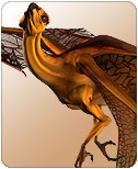 Miniature Dragon Piccolo by: ArkiRuntimeDNA, 3D Models by Daz 3D