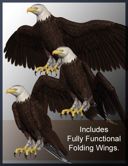 Eagle 2.0 by: , 3D Models by Daz 3D