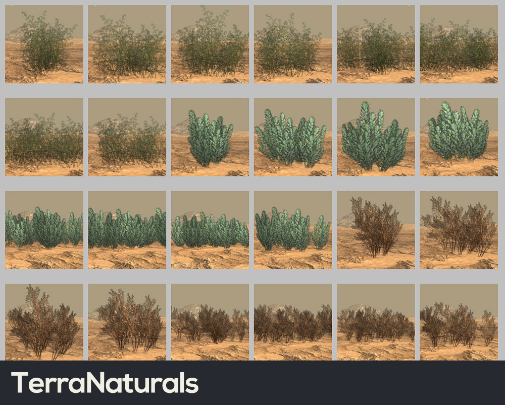 TerraNaturals Volume 1 - Desert by: RuntimeDNASyydTraveler, 3D Models by Daz 3D