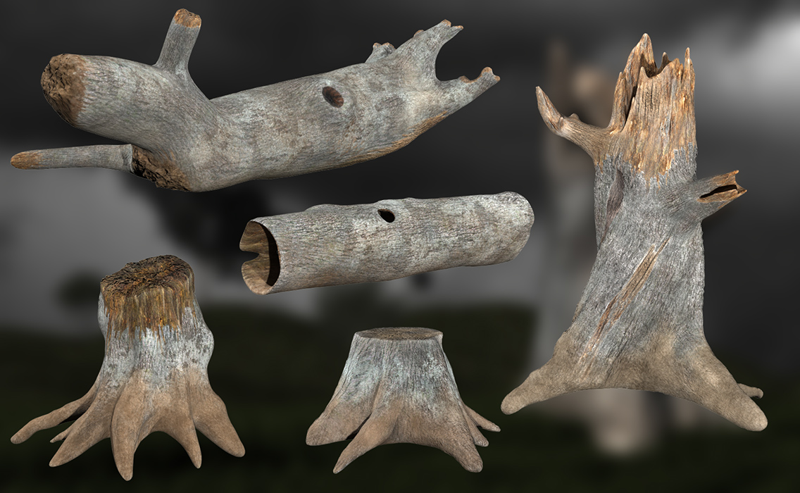 Logs and Stumps for DAZ Studio by: dgliddenRuntimeDNA, 3D Models by Daz 3D