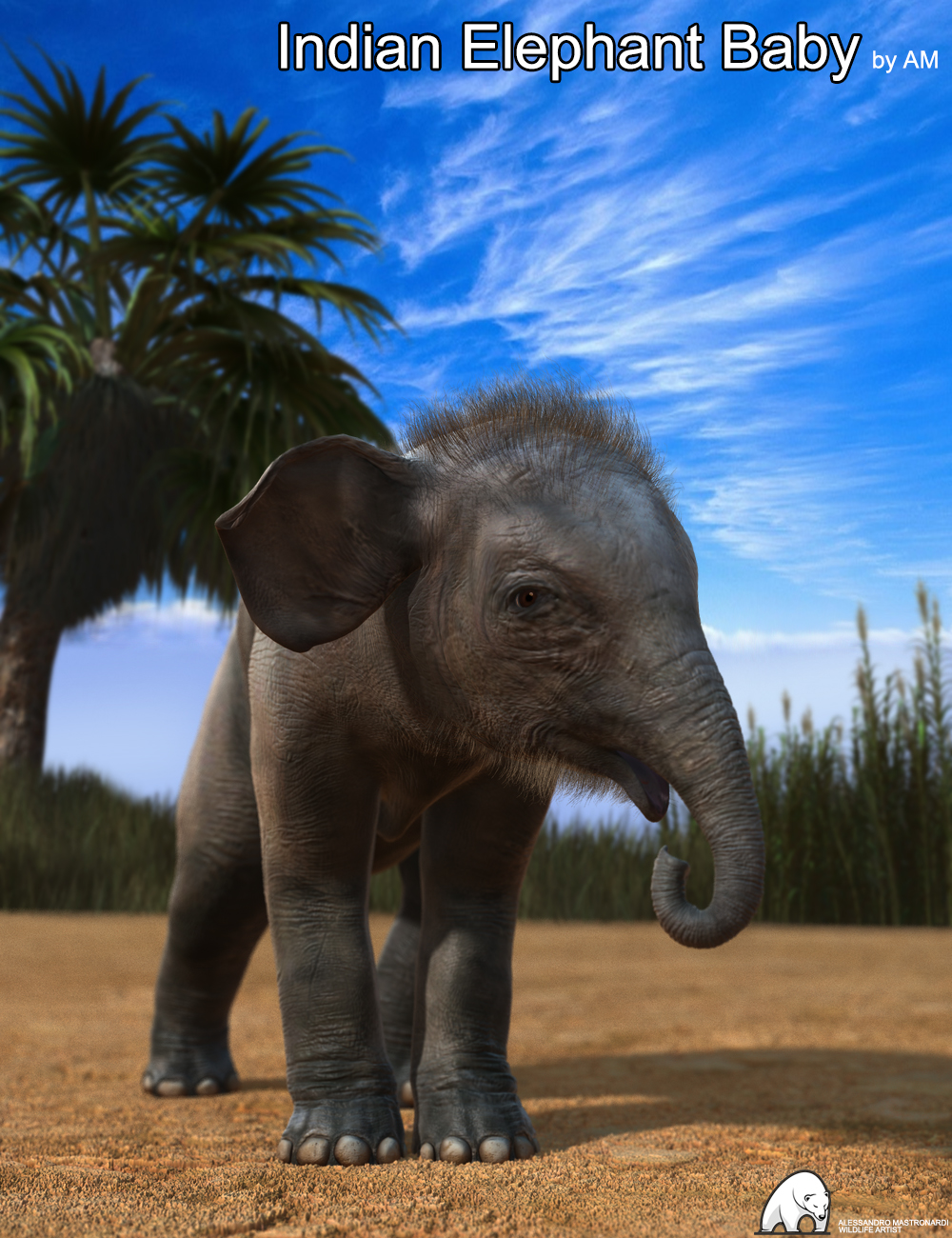 Indian Elephant Baby by AM by: Alessandro_AM, 3D Models by Daz 3D
