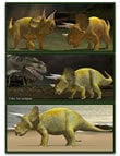 Triceratops by: , 3D Models by Daz 3D