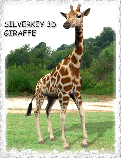 SilverKey 3d Giraffe by: Debra Ross, 3D Models by Daz 3D
