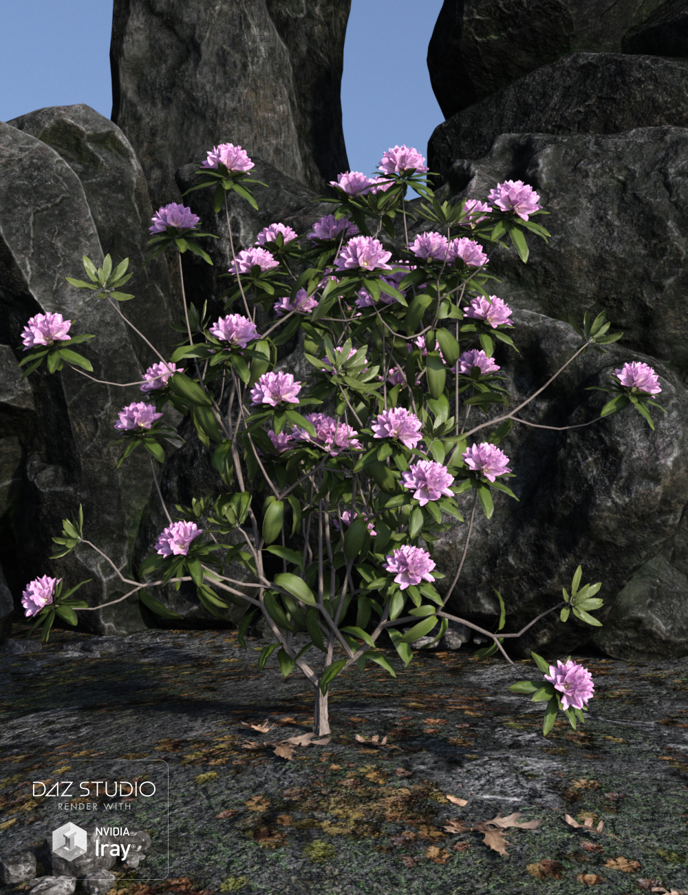 Dumor Scenics - Rhododendrons Dumor Scenics - Rhododendrons by: Dumor3D, 3D Models by Daz 3D