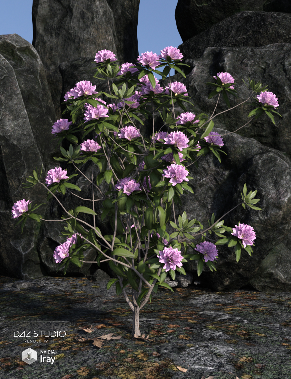 Dumor Scenics - Rhododendrons by: Dumor3D, 3D Models by Daz 3D