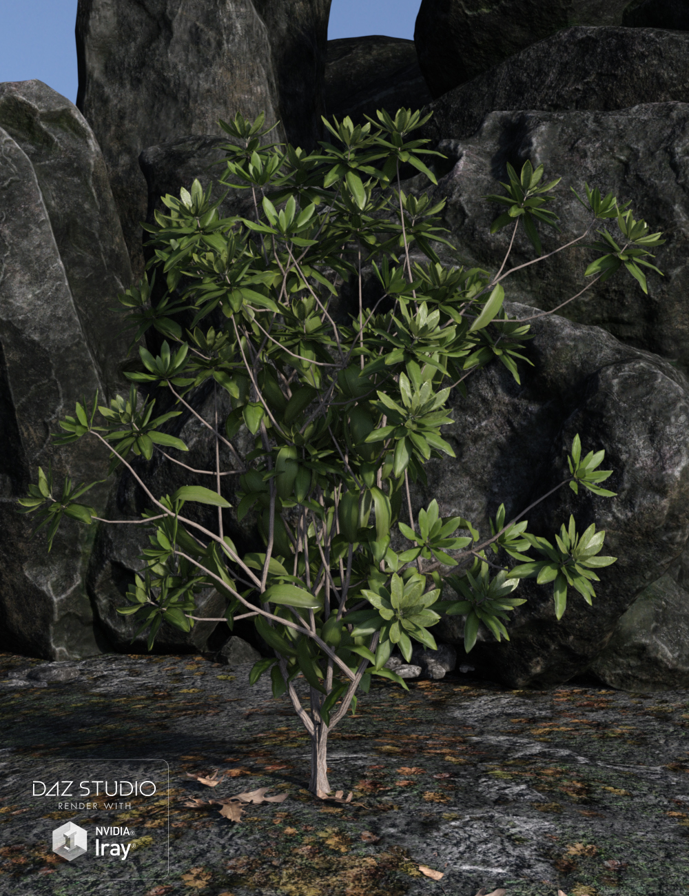 Dumor Scenics - Rhododendrons Dumor Scenics - Rhododendrons by: Dumor3D, 3D Models by Daz 3D
