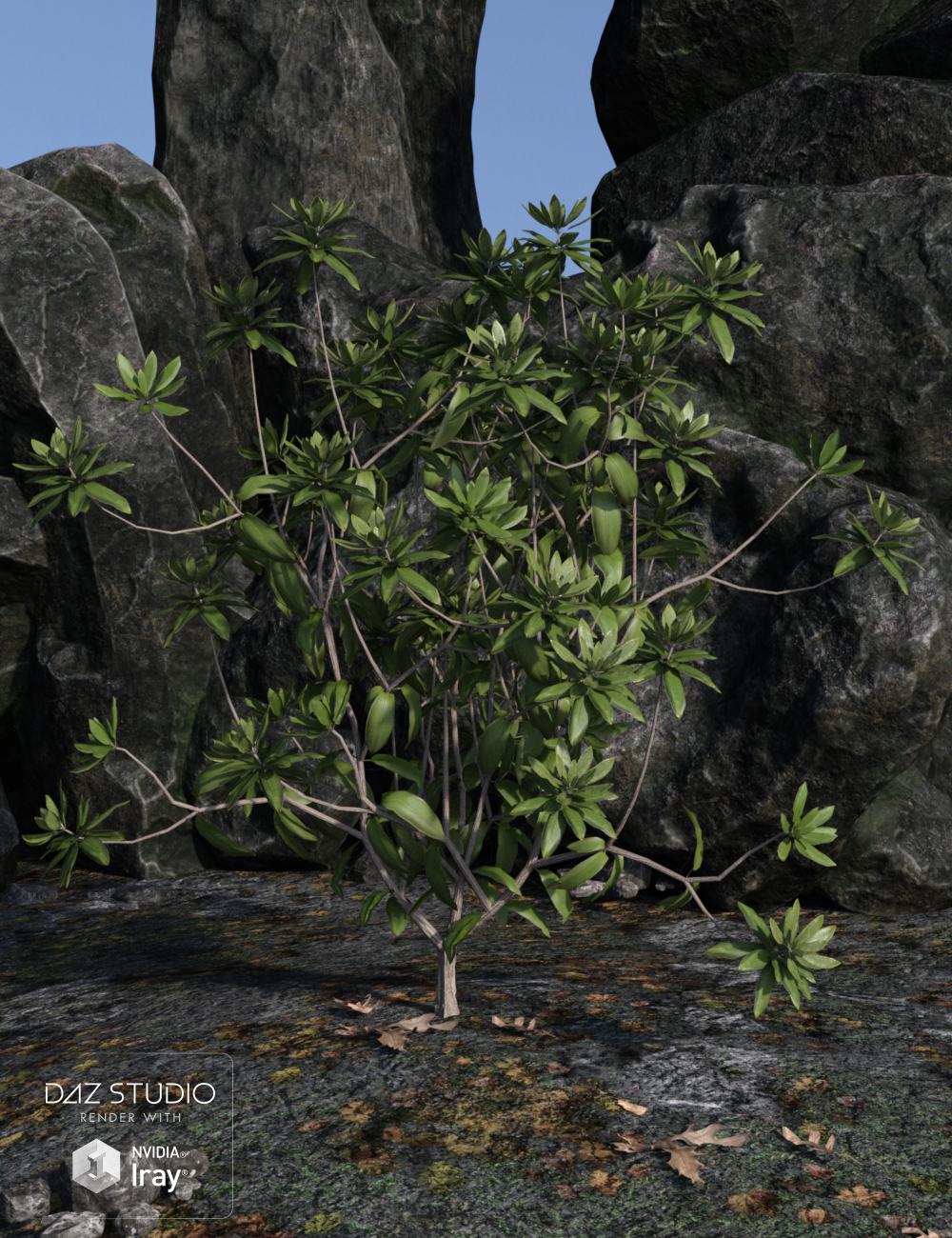 Dumor Scenics - Rhododendrons Dumor Scenics - Rhododendrons by: Dumor3D, 3D Models by Daz 3D