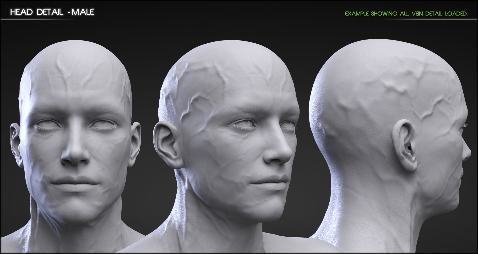 Vascularity HD for Genesis 3 Female(s) and Genesis 3 Male(s) Vascularity HD for Genesis 3 Female(s) and Genesis 3 Male(s) by: Zev0, 3D Models by Daz 3D