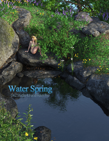 Water Spring by: Andrey PestryakovPeanterra, 3D Models by Daz 3D