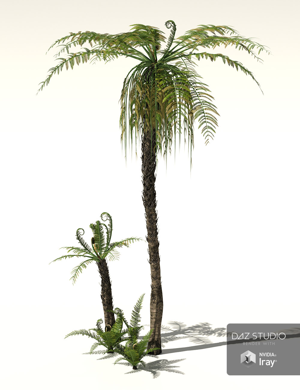 RPC Volume 5: Jungle Rainforest 2 for Daz Studio and Vue by: Alessandro_AMLMX3D, 3D Models by Daz 3D