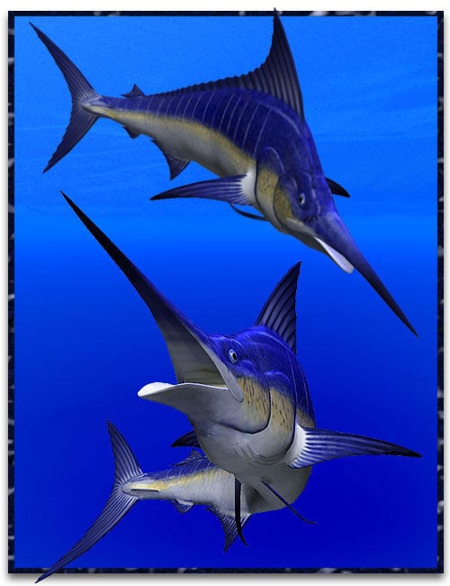 Marlin by: , 3D Models by Daz 3D