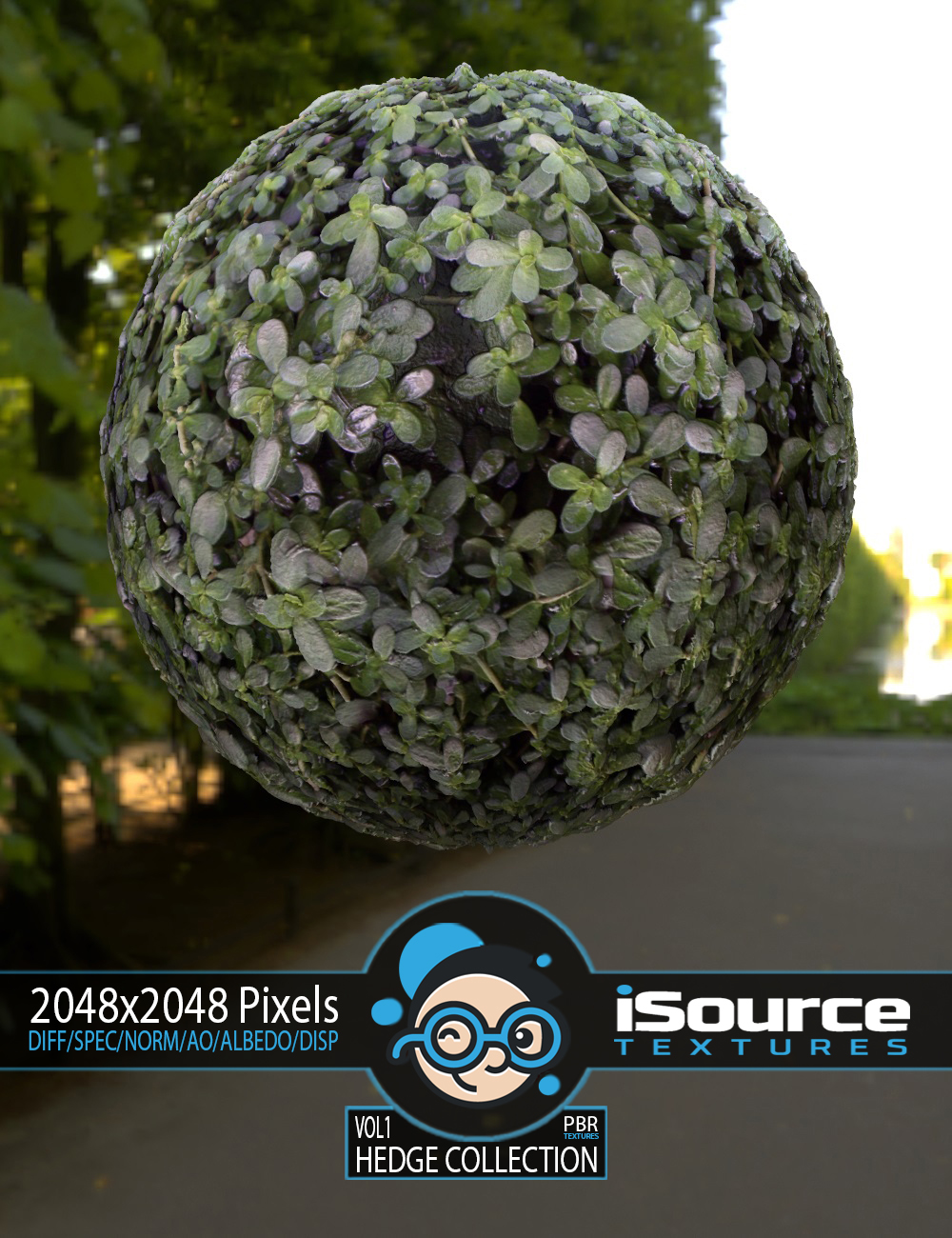 Hedge Collection Merchant Resource - Vol1 (PBR Textures) by: iSourceTextures, 3D Models by Daz 3D