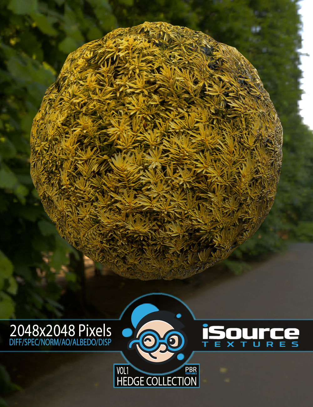 Hedge Collection Merchant Resource - Vol1 (PBR Textures) Hedge Collection Merchant Resource - Vol1 (PBR Textures) by: iSourceTextures, 3D Models by Daz 3D