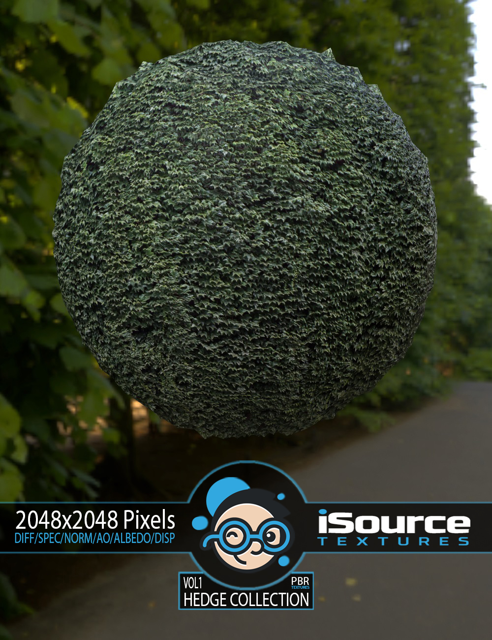Hedge Collection Merchant Resource - Vol1 (PBR Textures) by: iSourceTextures, 3D Models by Daz 3D