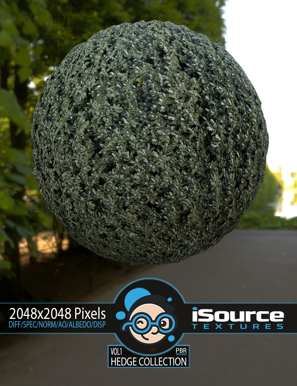 Hedge Collection Merchant Resource - Vol1 (PBR Textures) Hedge Collection Merchant Resource - Vol1 (PBR Textures) by: iSourceTextures, 3D Models by Daz 3D