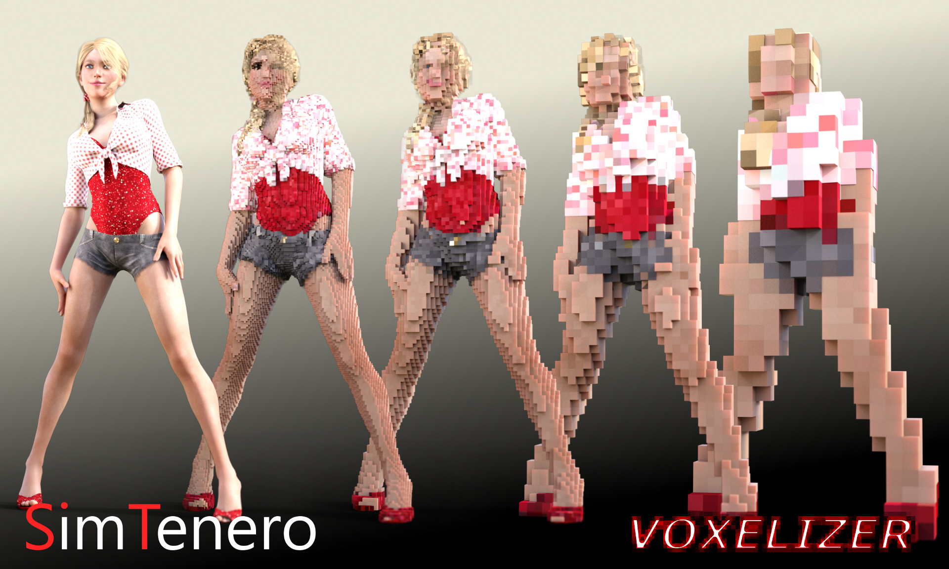 SimTenero Voxelizer by: SimTenero, 3D Models by Daz 3D