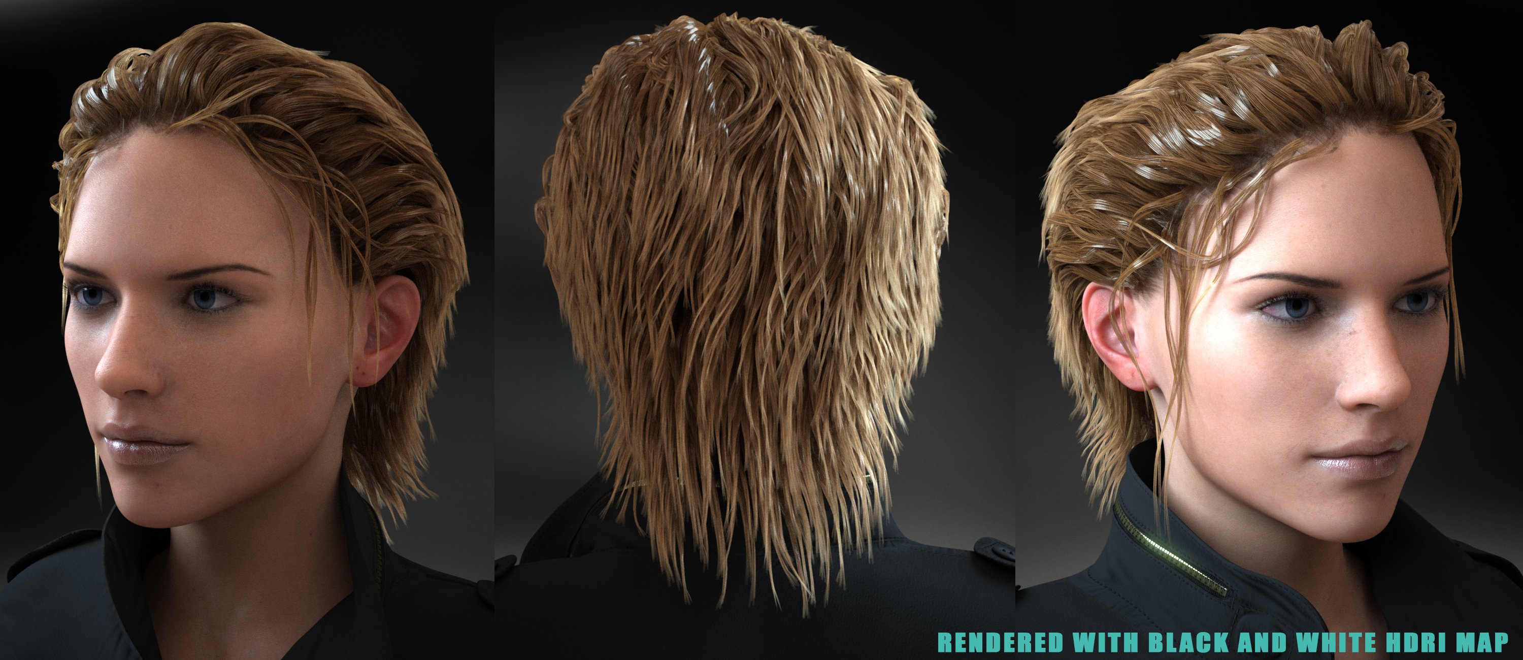 Summer Wet Hair for Genesis 3 Female(s) Summer Wet Hair for Genesis 3 Female(s) by: Linday, 3D Models by Daz 3D