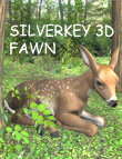 SilverKey 3d Fawn by: Debra Ross, 3D Models by Daz 3D