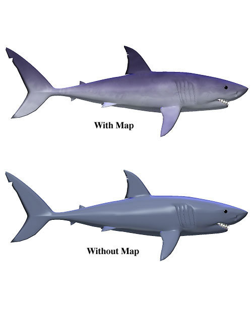 Shark by: , 3D Models by Daz 3D