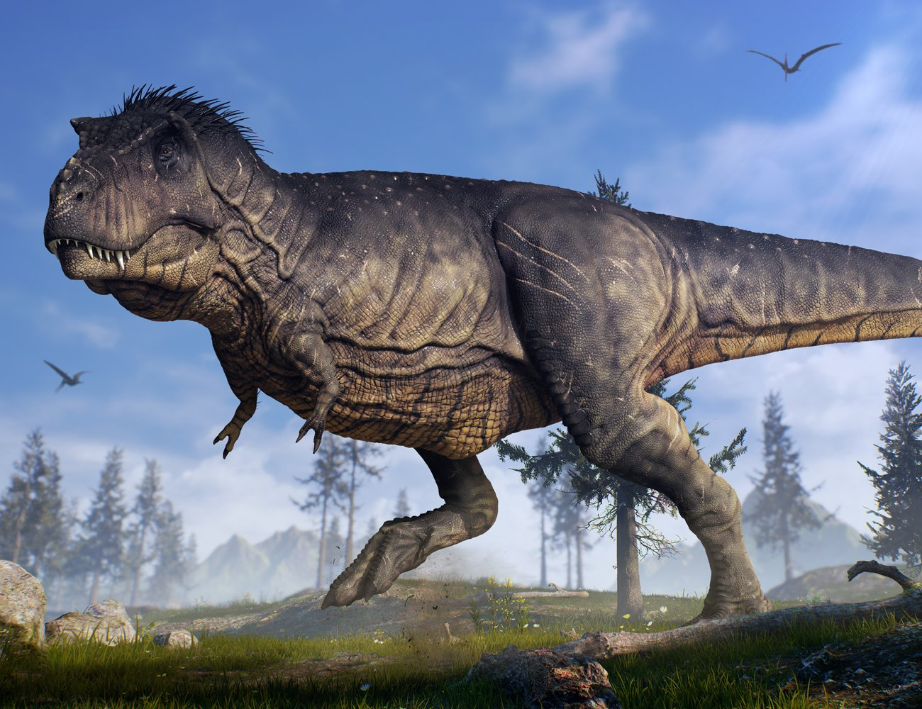 Tyrannosaurus Rex - Tyrant-Lizard King by: Herschel Hoffmeyer, 3D Models by Daz 3D
