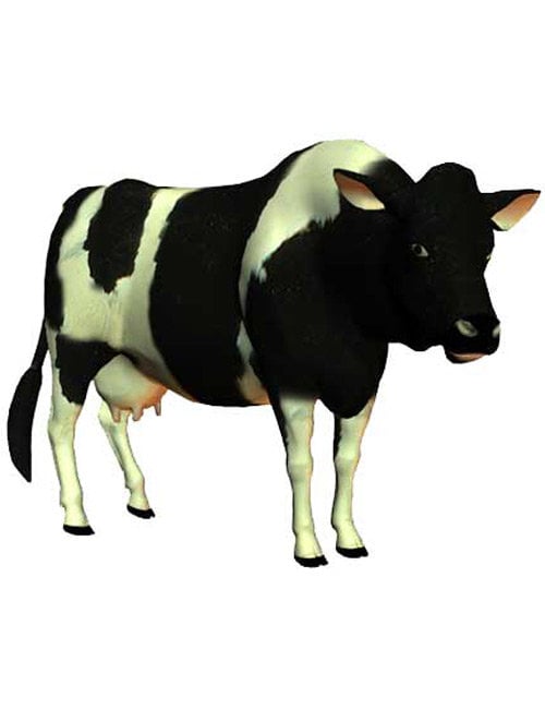 Cow by: , 3D Models by Daz 3D