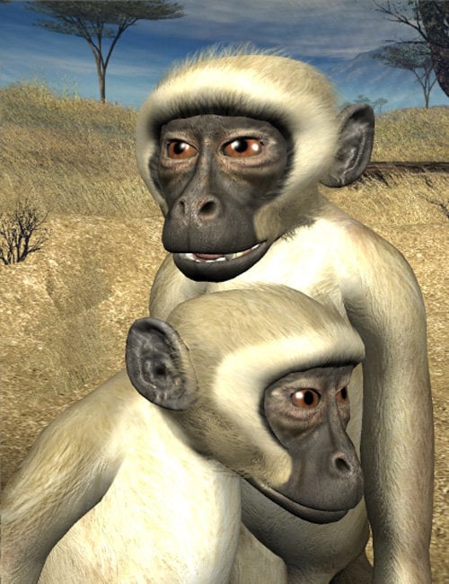 SilverKey 3d Monkey by: Debra Ross, 3D Models by Daz 3D