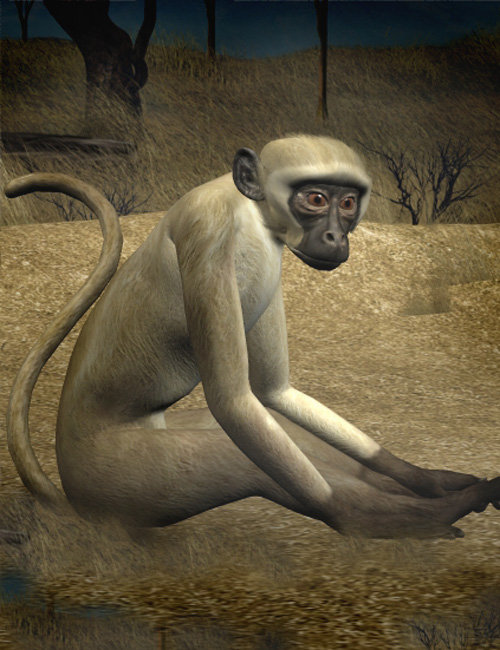 SilverKey 3d Monkey by: Debra Ross, 3D Models by Daz 3D
