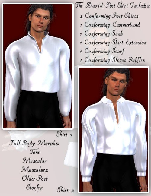 D3 Poet Shirt D3 Poet Shirt by: Lourdes, 3D Models by Daz 3D