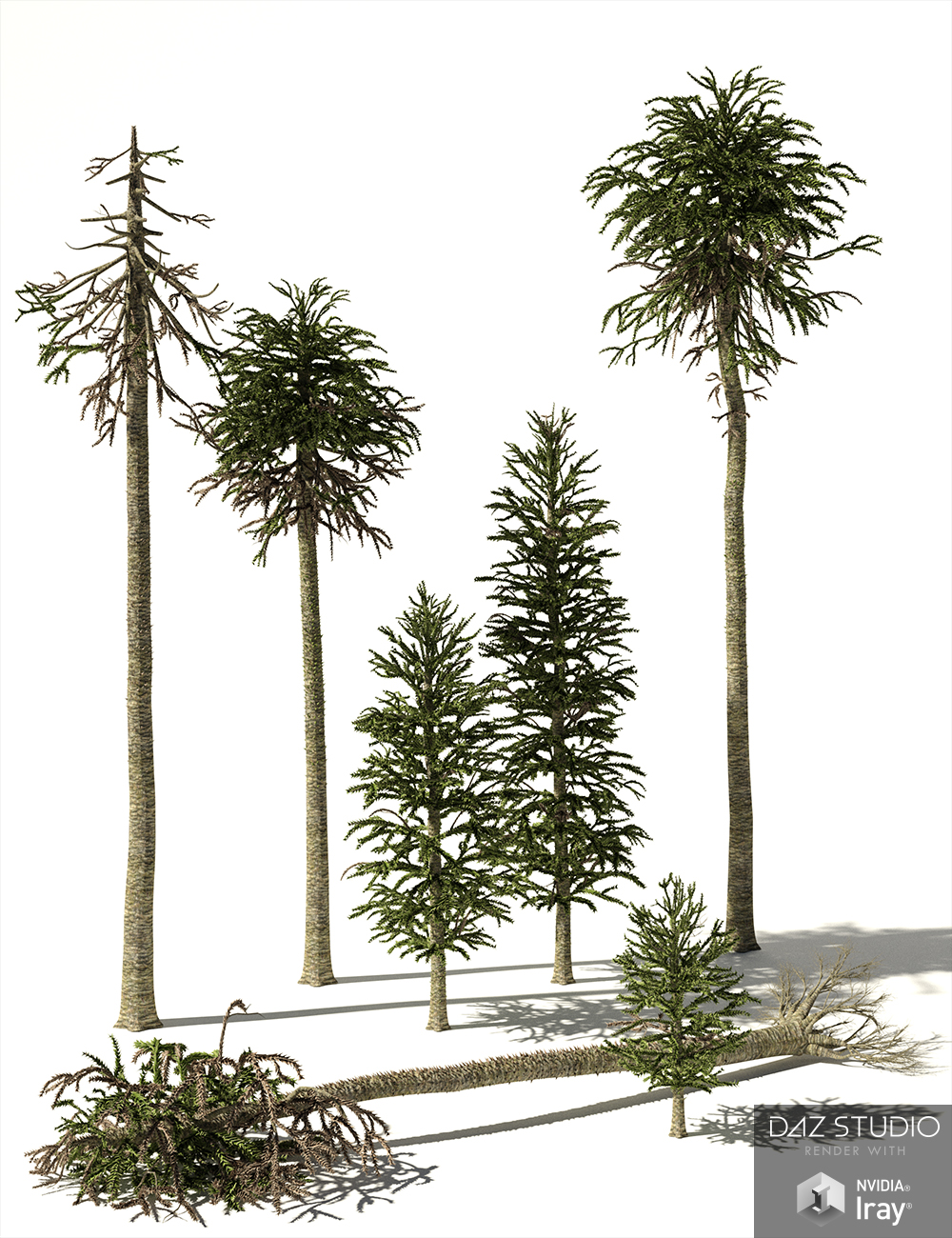 RPC Volume 6: Mesozoic Plants and Trees for Daz Studio and Vue