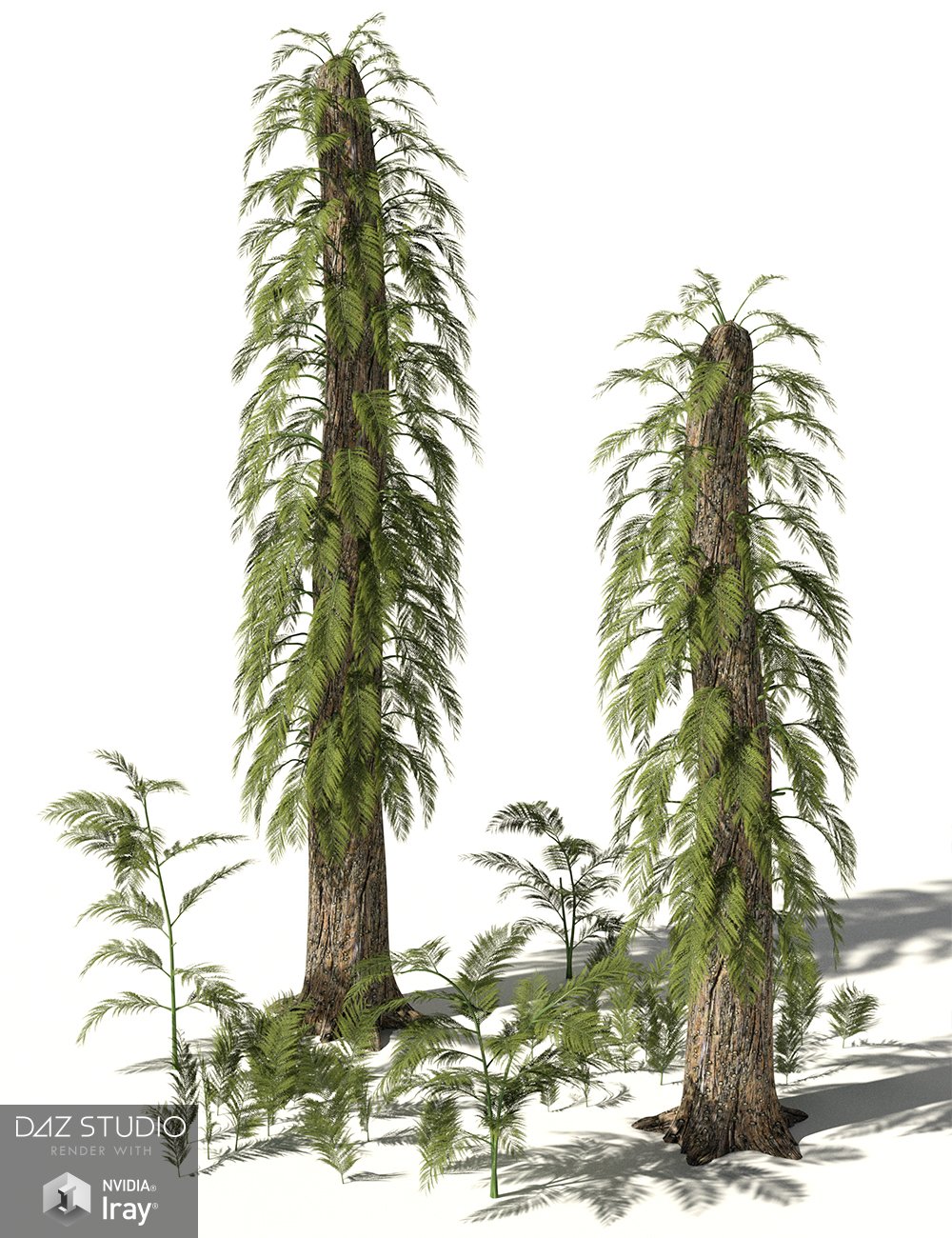 RPC Volume 6: Mesozoic Plants and Trees for Daz Studio and Vue RPC Volume 6: Mesozoic Plants and Trees for Daz Studio and Vue by: Alessandro_AMLMX3D, 3D Models by Daz 3D