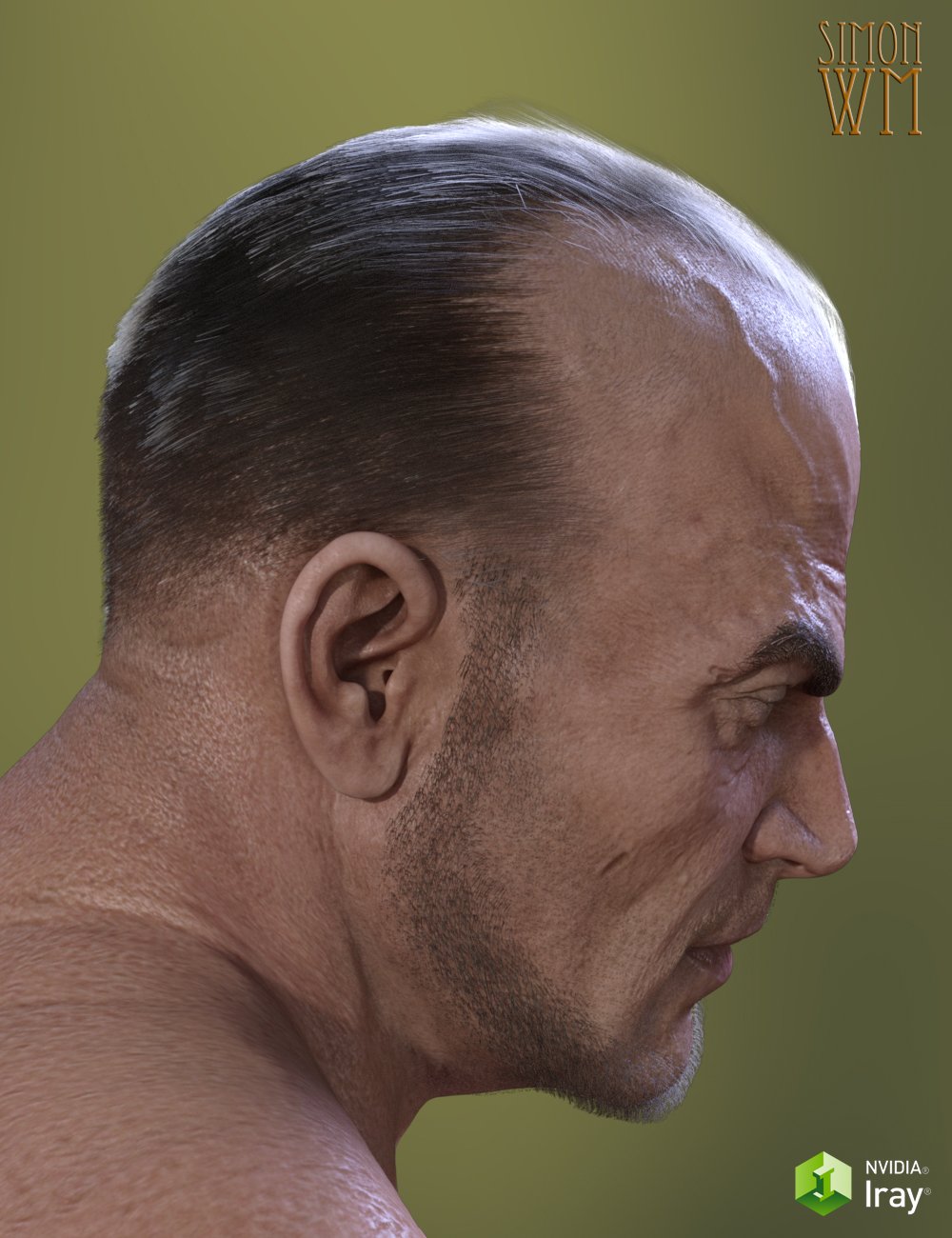 Deep Hairline for Genesis 3 Deep Hairline for Genesis 3 by: SimonWM, 3D Models by Daz 3D