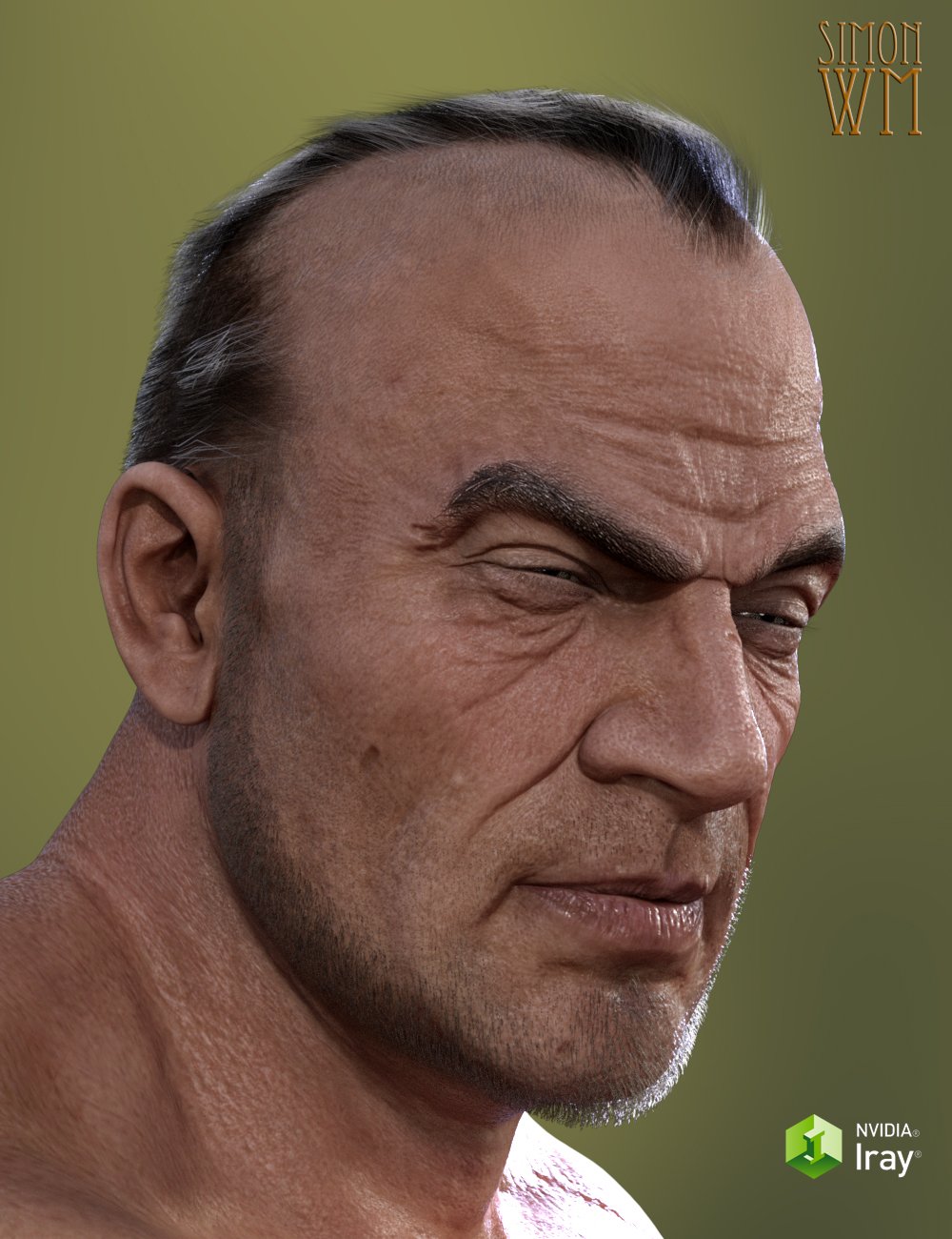 Deep Hairline for Genesis 3 Deep Hairline for Genesis 3 by: SimonWM, 3D Models by Daz 3D