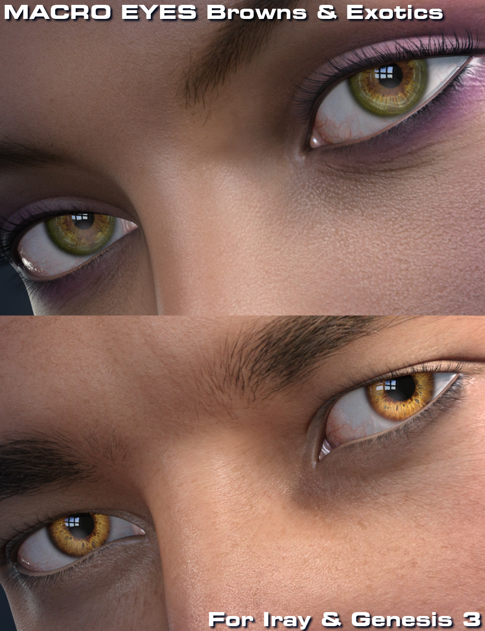 Macro Eyes for Iray Browns and Exotics by: Parris, 3D Models by Daz 3D