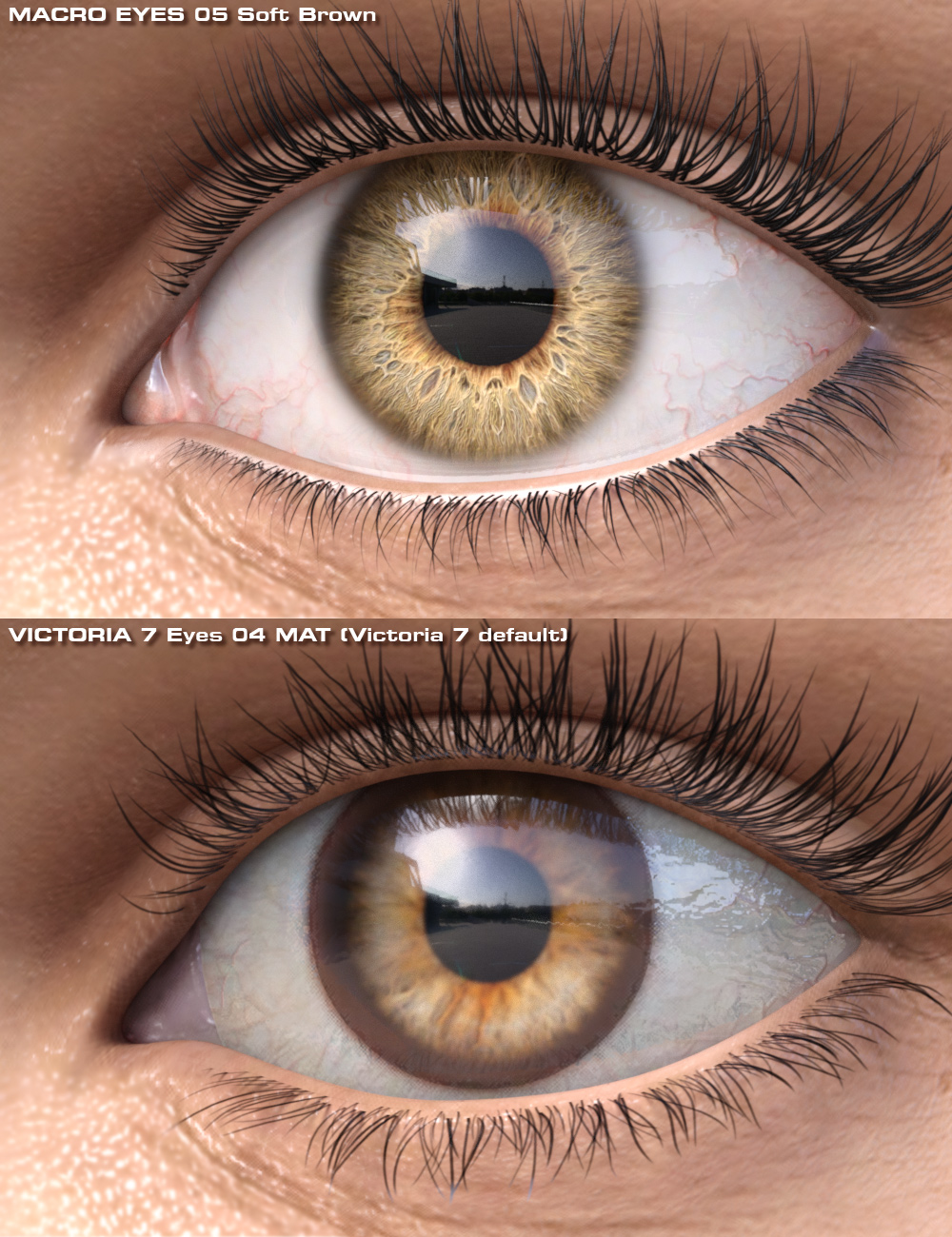 Macro Eyes for Iray Browns and Exotics