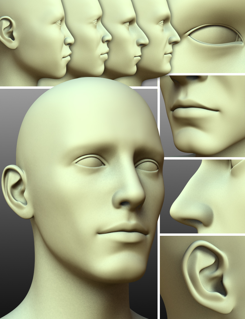 200 Plus - Head & Face Morphs for Genesis 3 Male(s) by: DogzZev0, 3D Models by Daz 3D