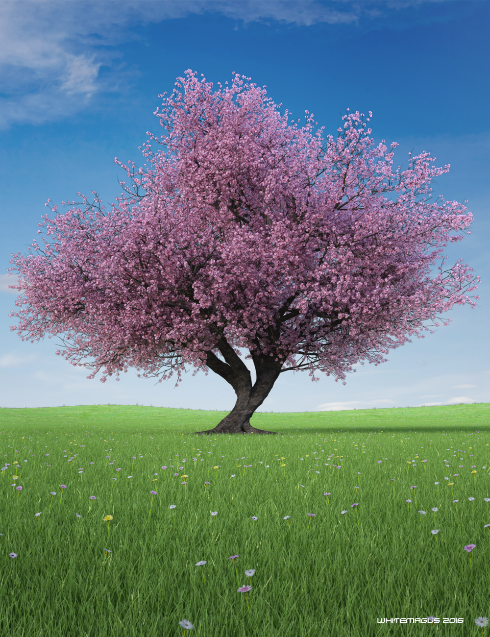 Sakura Extreme Detail Sakura Extreme Detail by: Whitemagus, 3D Models by Daz 3D